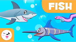 The Amazing World of Fish: Masters of the Ocean!