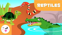 Die Erstaunliche Welt der Reptilien: Meister der Erde!