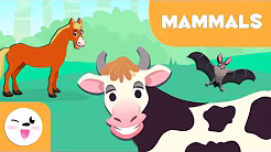 Mammals for Kids: The Amazing World of Warm-Blooded Animals!